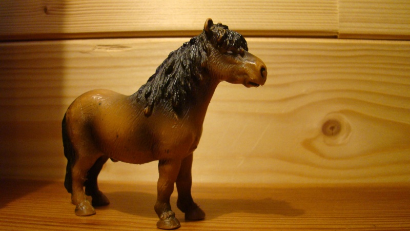 Ma collec de schleich Dsc06515