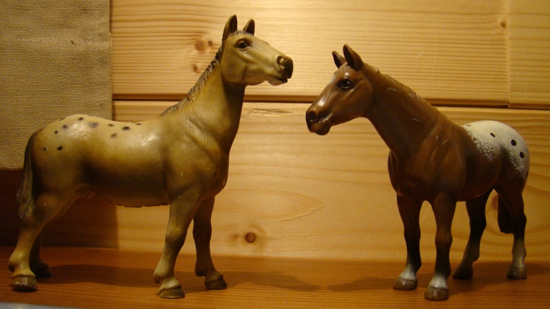 Ma collec de schleich Dsc06614