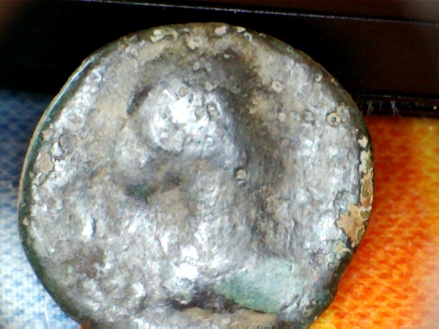 identification 16210