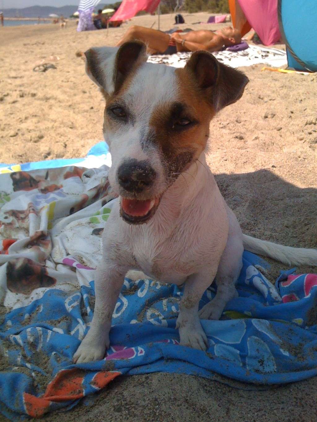 Sono tornata dalla Dog Beach !!! 2011-017