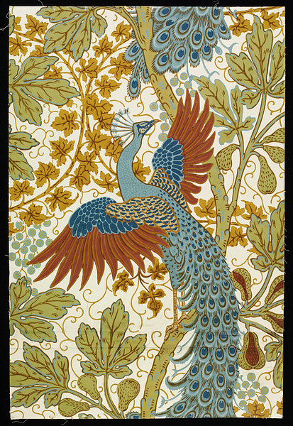 LE PAON: l'oiseau aux cent yeux - Page 2 Crane_11