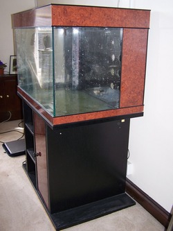 vends aquarium percula 90 aquamedic 250x3311