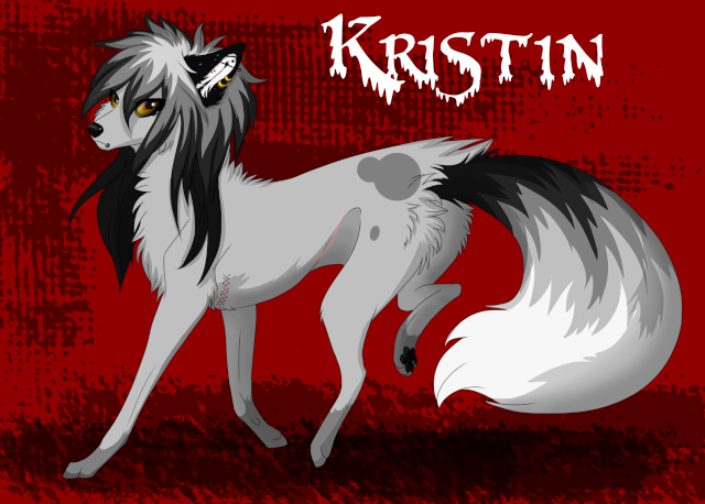 Kristin's Bio Unname13