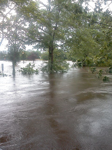 The Aftermath Of Hurricane Irene!!! Pick_111