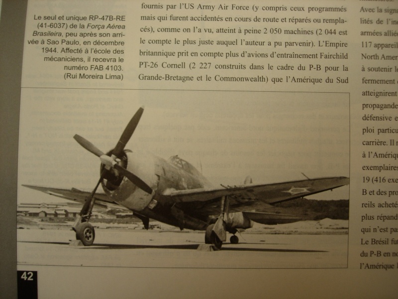 [MC5 - P47] P-47 Thunderbolt brésilien [ Revell - 1/72] - update 7 et dernier : sur son socle - Page 4 Dscn4514
