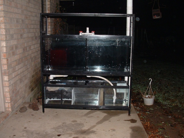 GALLON - RR 50 gallon tall stand sump & plumbing Dscf0019