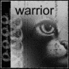 Warrior Cats Forum Warrio10