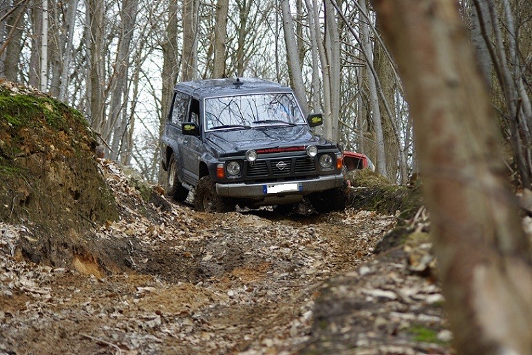 sortie au terrain du forest hill (DEPT 78) Imgp2318