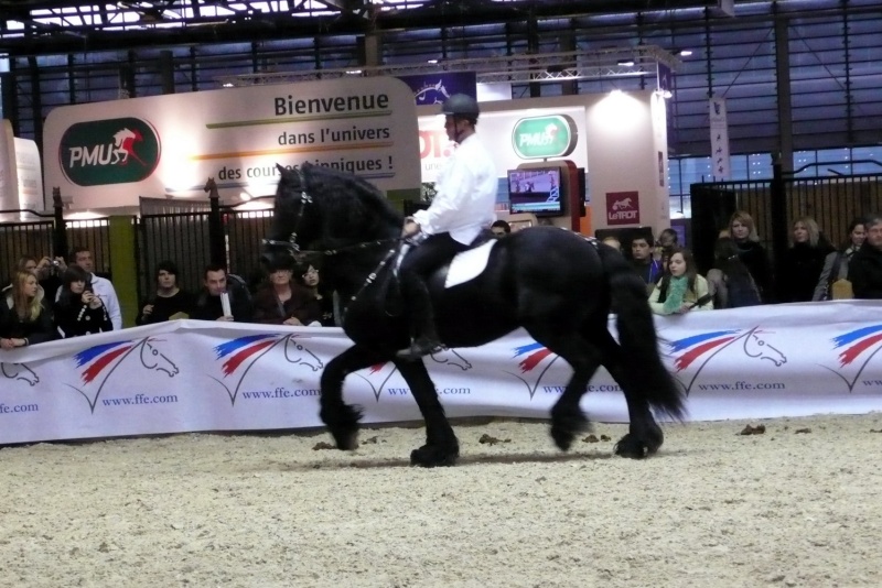 le salon du cheval paris 2011 L1280211