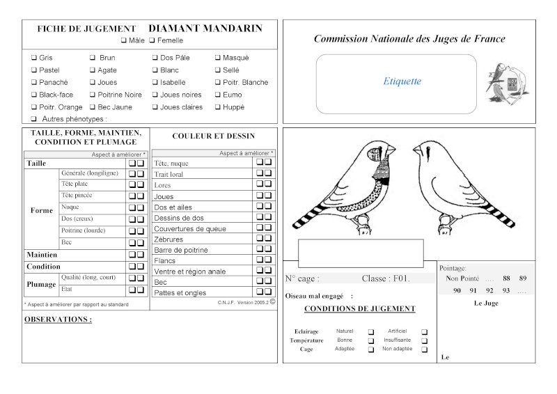 Fiche de jugement du diamant mandarin Fiche_15