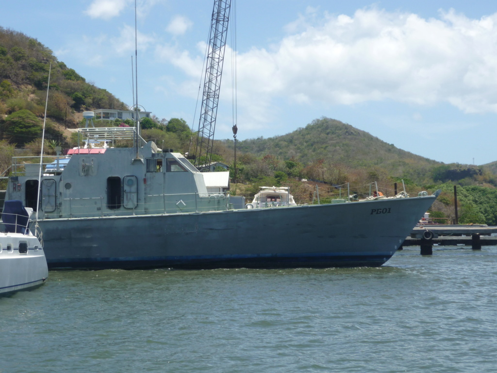 Marine de La Grenade(Caraïbes) P1030736