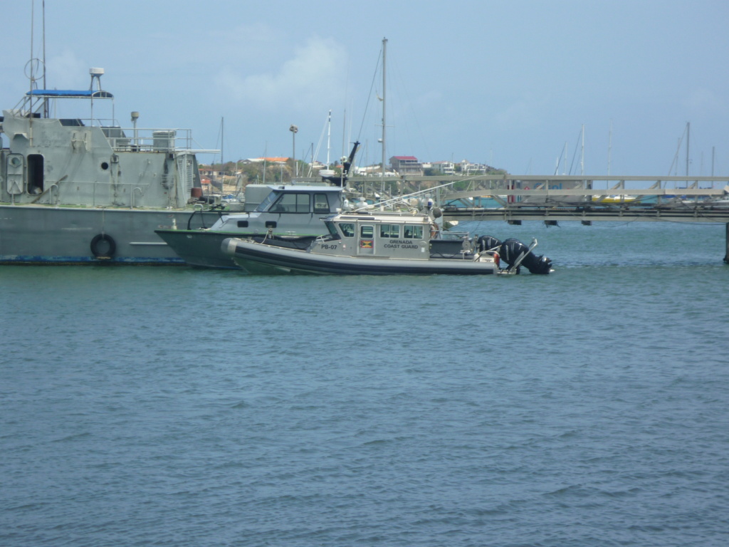 Marine de La Grenade(Caraïbes) P1030737