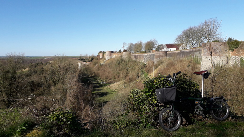 Balade à Montreuil/Mer  20220358