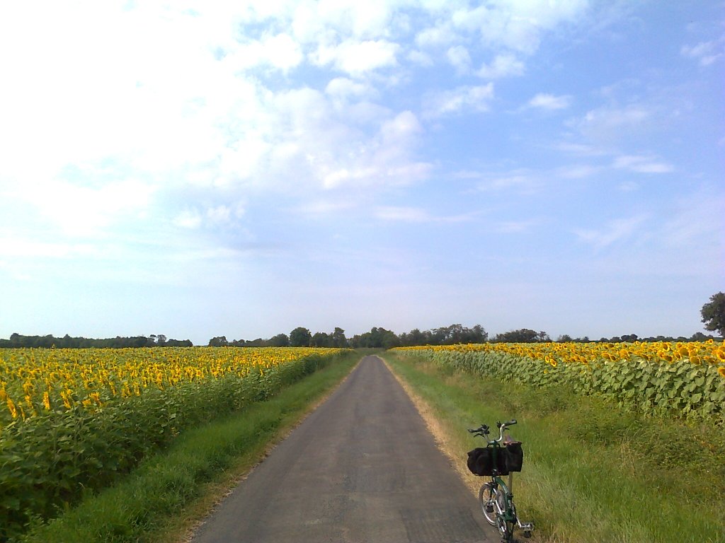 Balade en Poitou-Charentes Photo519