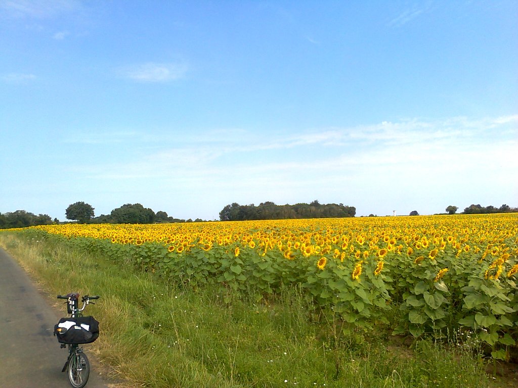 Balade en Poitou-Charentes Photo522