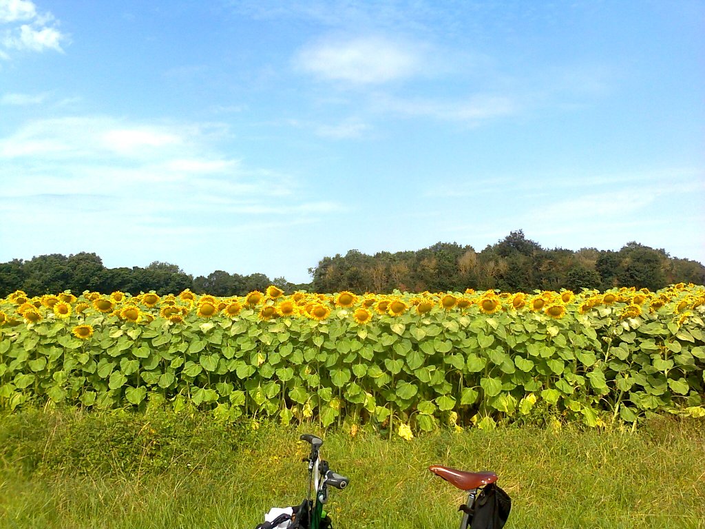 Balade en Poitou-Charentes Photo523