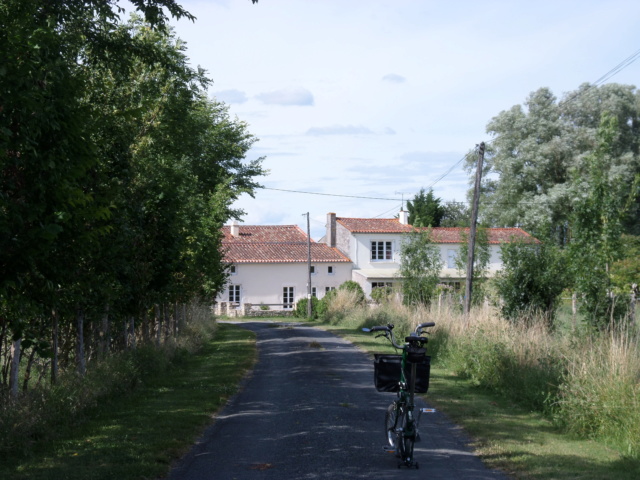 Balade en Charente-Maritime Sam_9313
