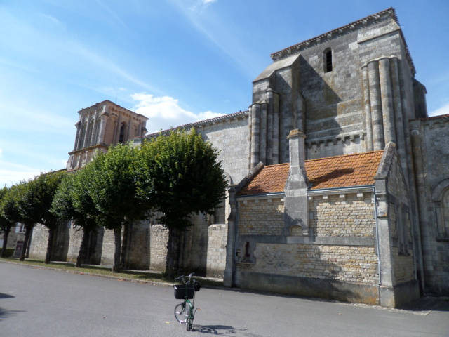 Balade en Charente-Maritime Sam_9316