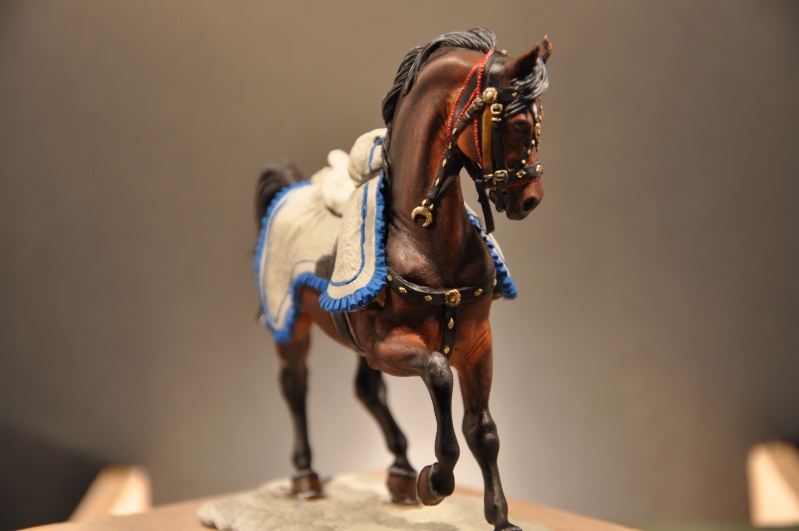 Capitaine de hussards. 75 mm Pegaso Dsc_0478
