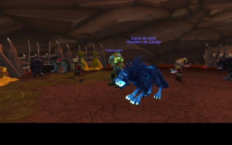 PET hunt minou Wowscr12