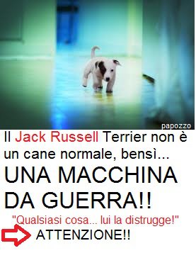 ecco cosa balena nel cervello dei nostri nani! Jack_m10