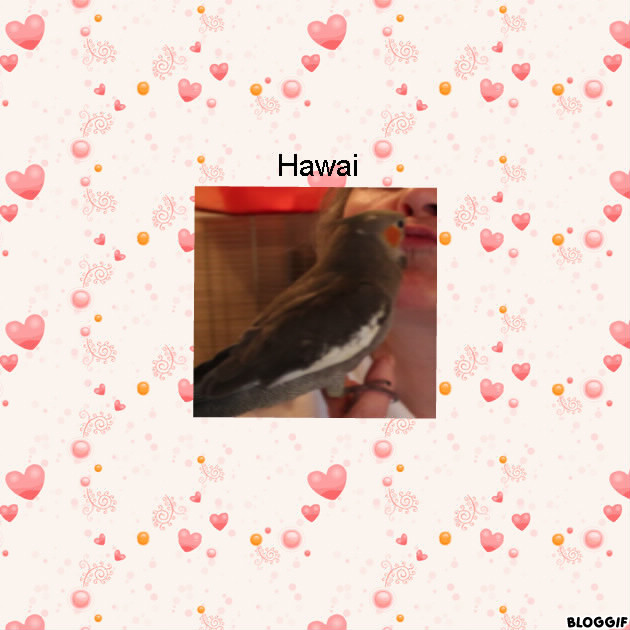 ma petite Hawai 6fd34110