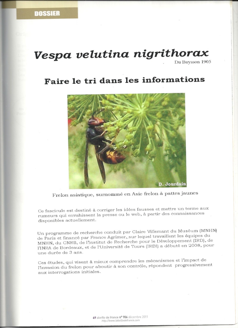 faire le tri dans les informations sur Vespa velutina nigrithorax. Frelon10