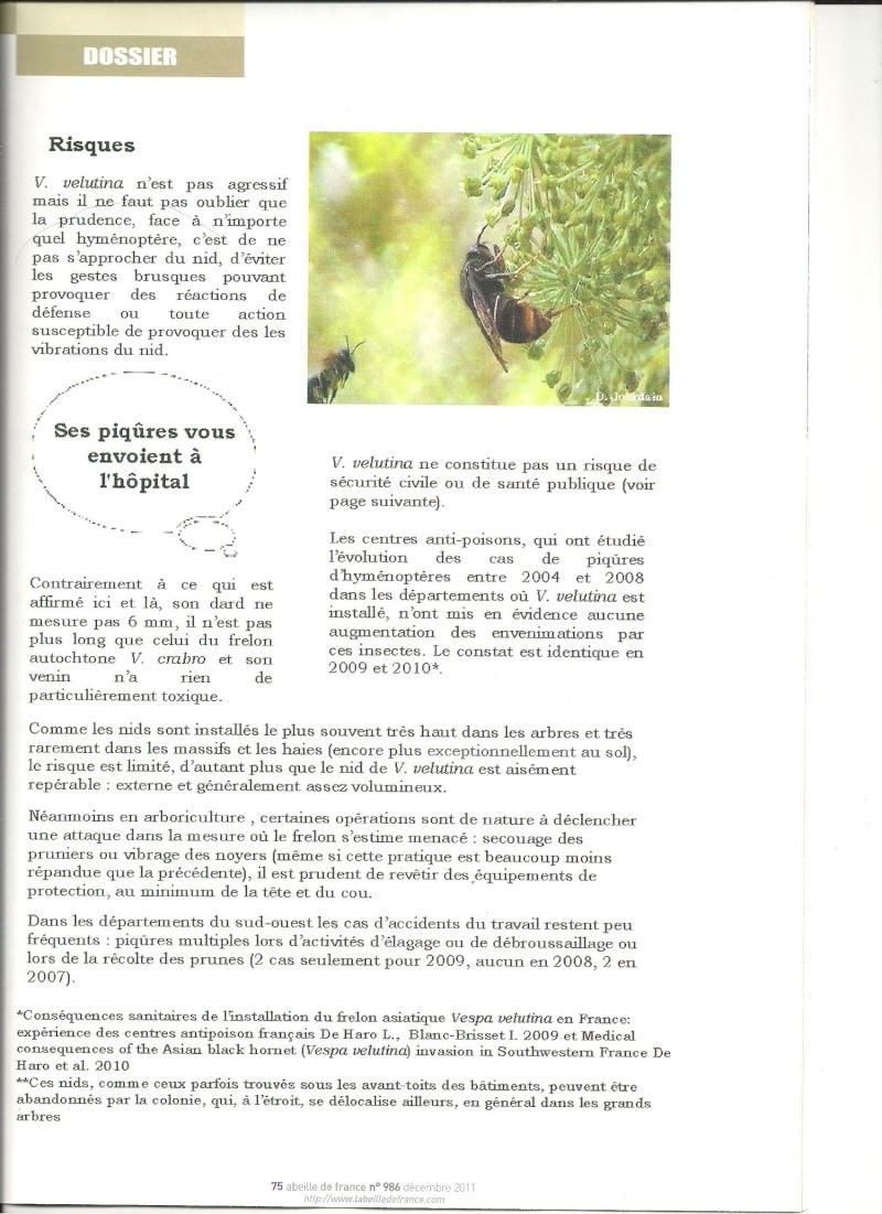 faire le tri dans les informations sur Vespa velutina nigrithorax. Frelon16