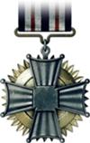 Medallas Battlefield 3 100px-51