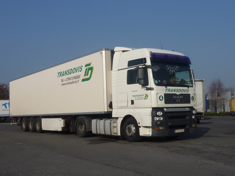 Transdovis Photo542