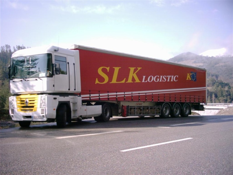 Slk logistique (Sarreguemines, 57) R28510