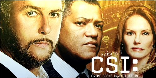 [CSI] Saison 9 Saiso275