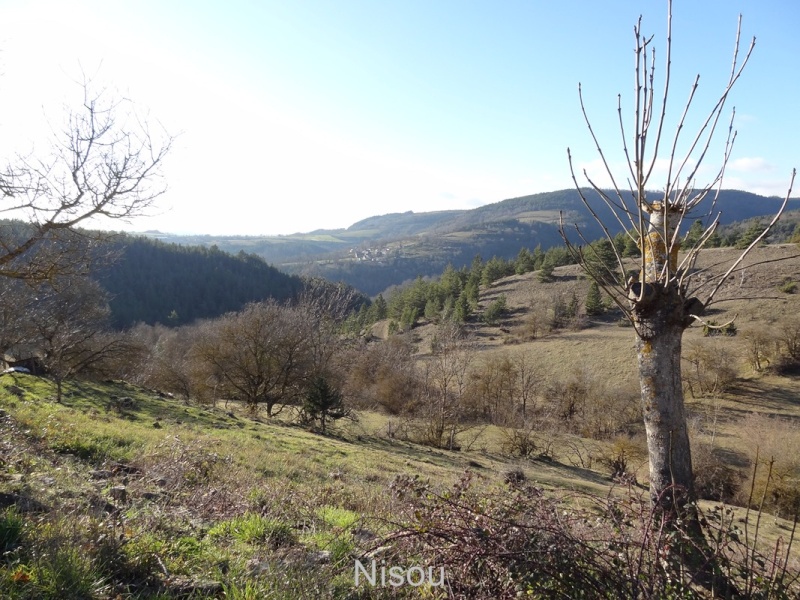 La Lozère à travers l'oeil de mon APN - Page 2 Dsc00434