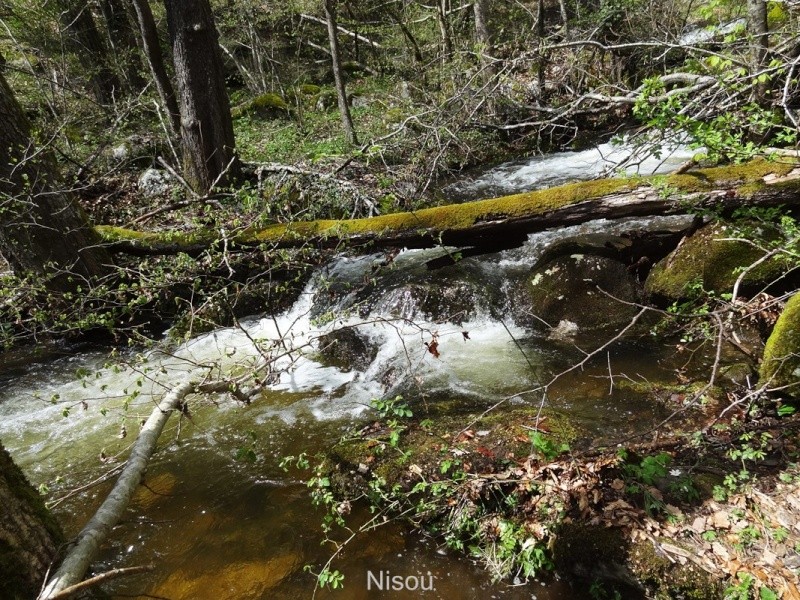 La Lozère à travers l'oeil de mon APN - Page 4 Dsc02931