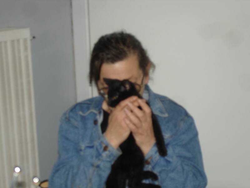 Orko, chaton noir né mi avril 2011 (adopté) Dsc02911