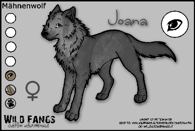 Anfangswolf - Seite 2 Wolf0112