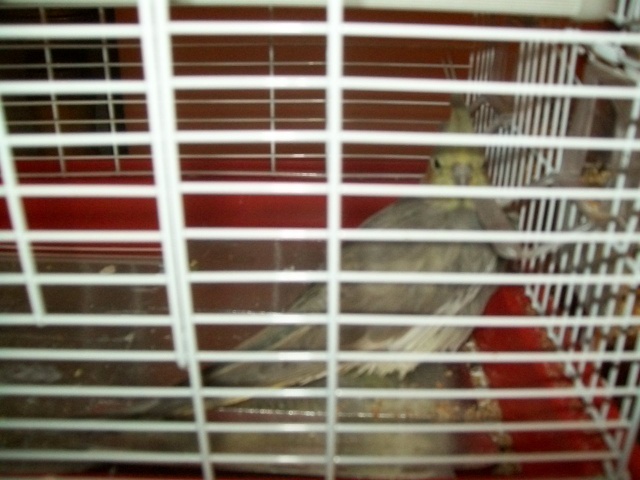 e capodanno anche x loro 00622