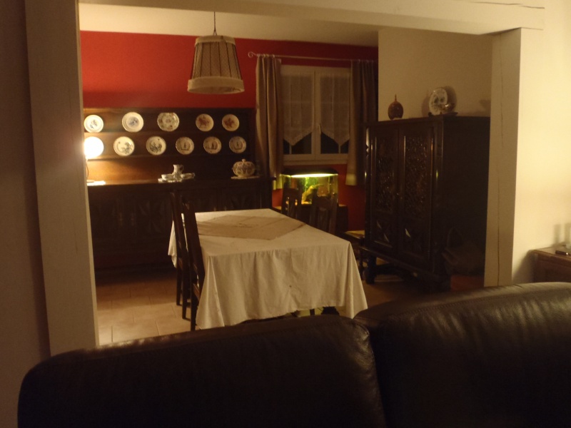 Couleur murs salon salle à manger et meuble rustique chêne foncé vernis P1080910