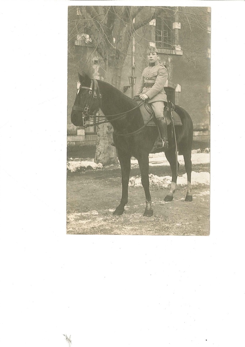 sellerie et harnachement de cavalerie. (Première Partie)* - Page 25 20110726