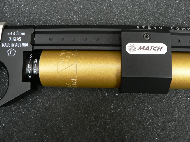Pistolets match / competition P1010816