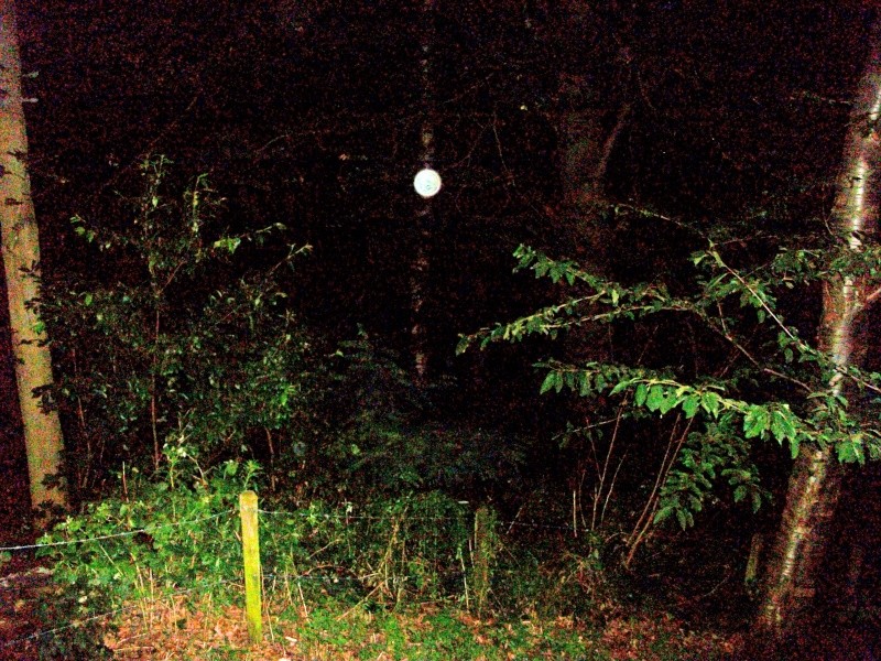 our first  investigation (outdoor) Orb8a10
