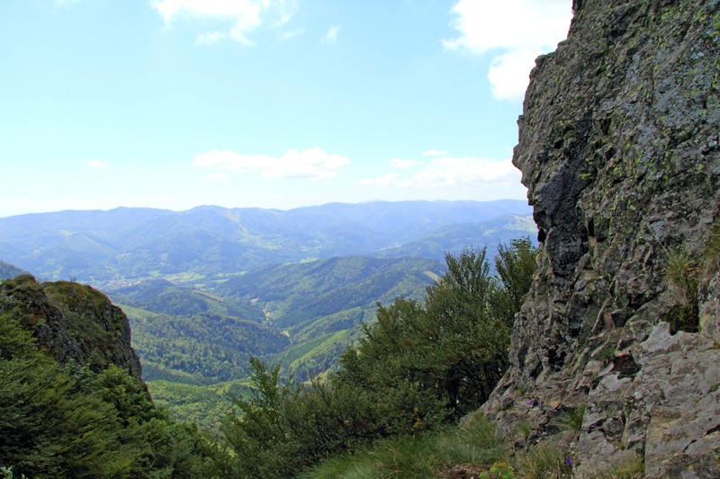 Le massif du Rossberg Copie_36