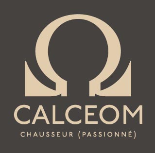 Quel logo pour ma boutique ? Calceo10