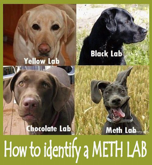 How to identify a meth Lab 30379010