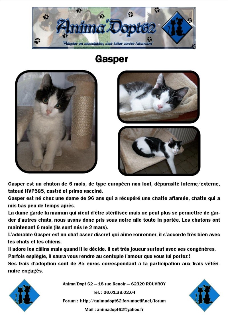 Gasper - adopté par Jane86 Affich68