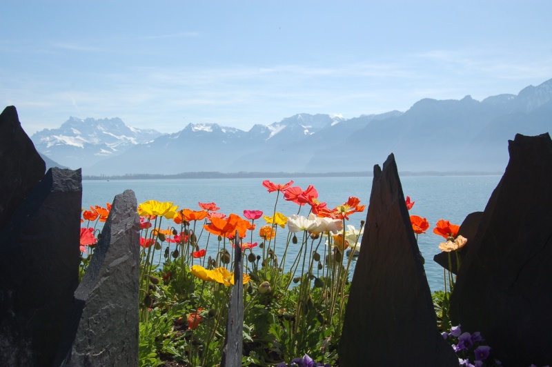 balade à Montreux au bord du Léman Dsc_3313