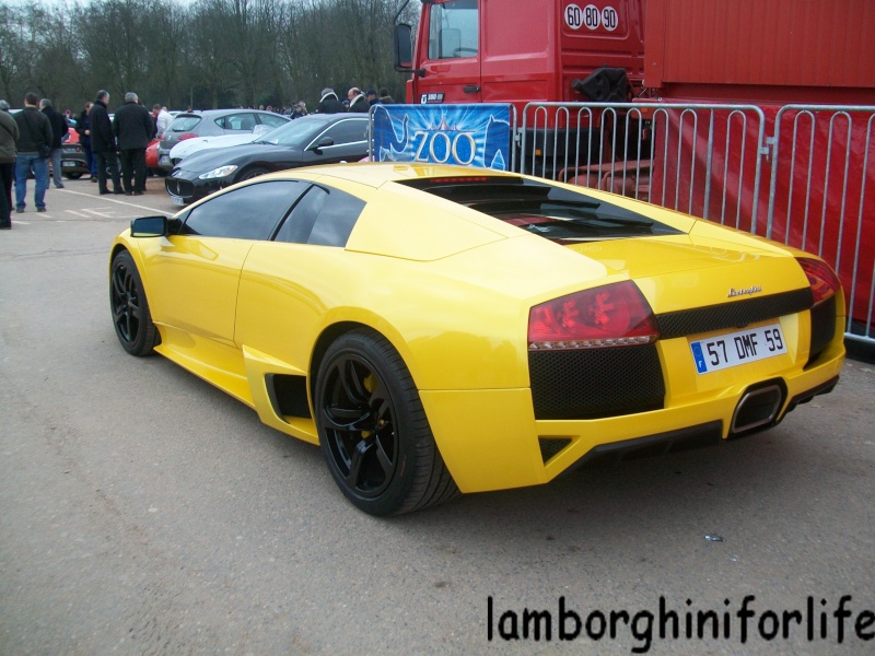 Spécial Lamborghini :) 100_0710