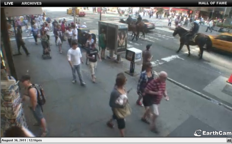 Webcam New York Chevau10