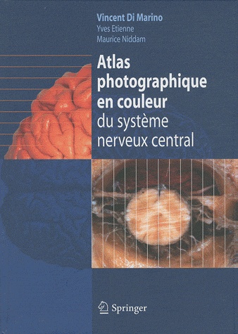  Atlas photographique en couleur du système nerveux central - Springer 2011    Untitl10