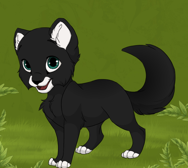 Der Windclan Amselp12